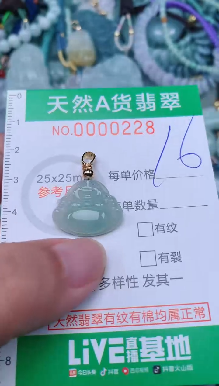 翡翠未镶嵌颈饰.0000228