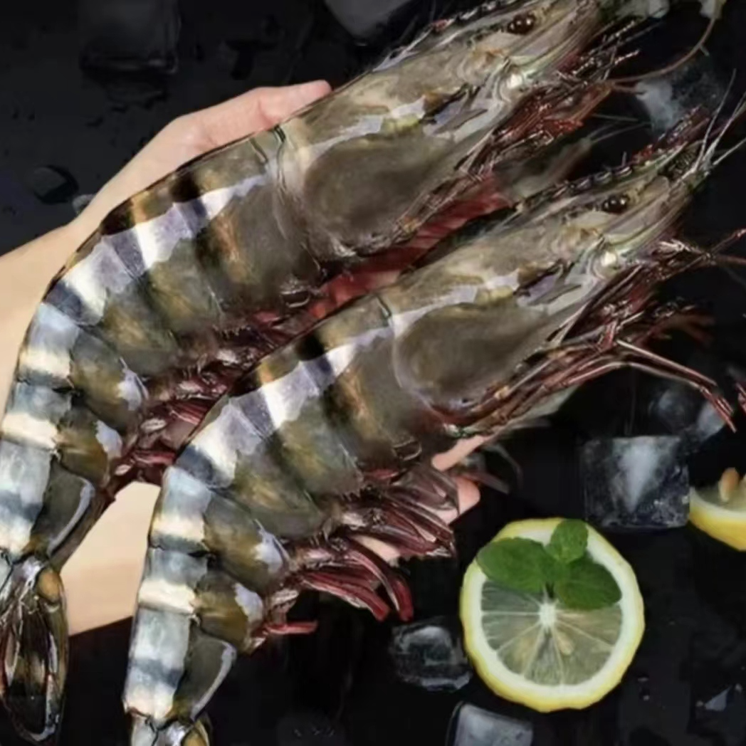 新鲜活虾速冻黑虎虾老虎虾1620规格3斤/ 盒约25只左右含保护冰