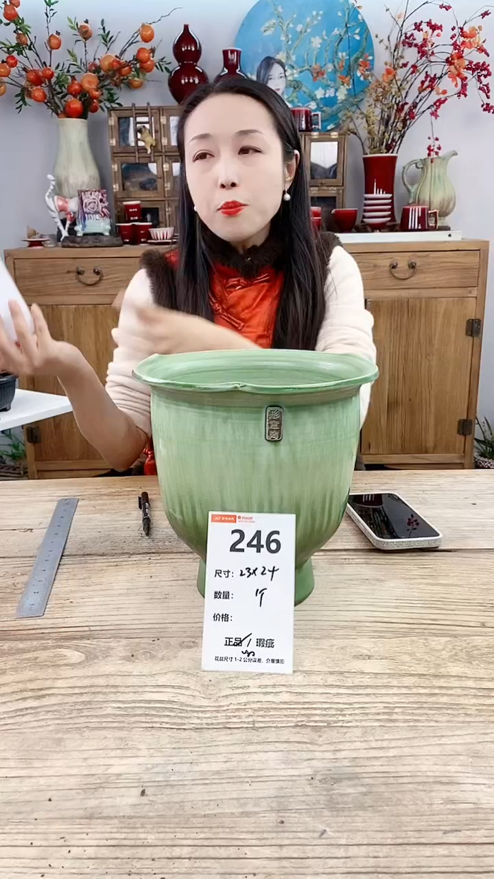 【闪购商品】红陶246