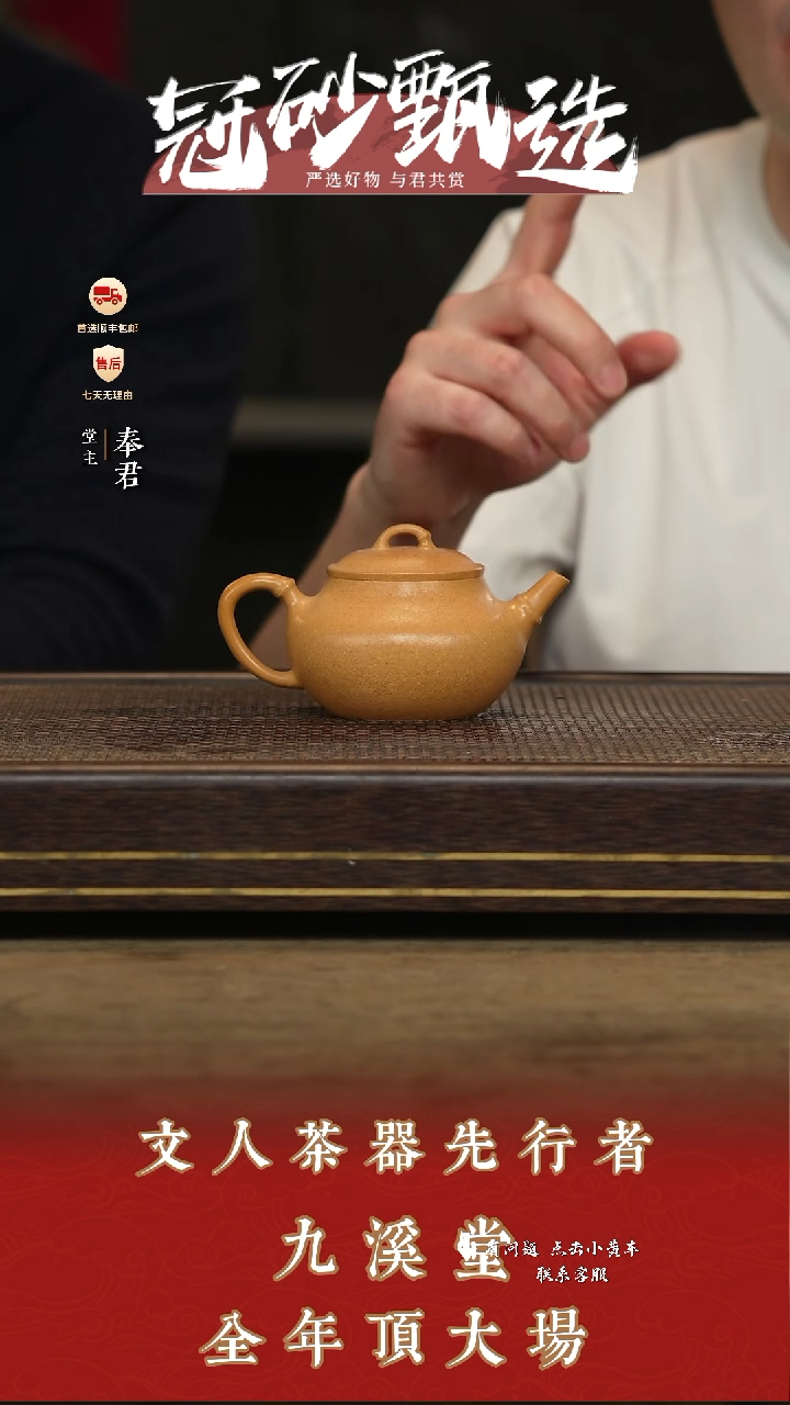 九溪堂壶紫砂茶壶s02