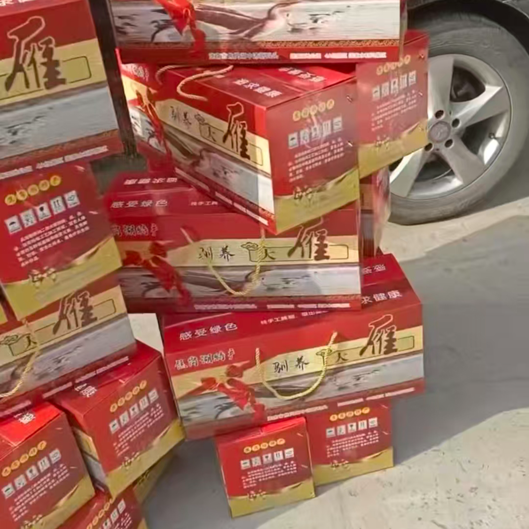 焦岗湖农家散养驯养鸿雁正宗农家腊味 （腌制）礼盒装1只