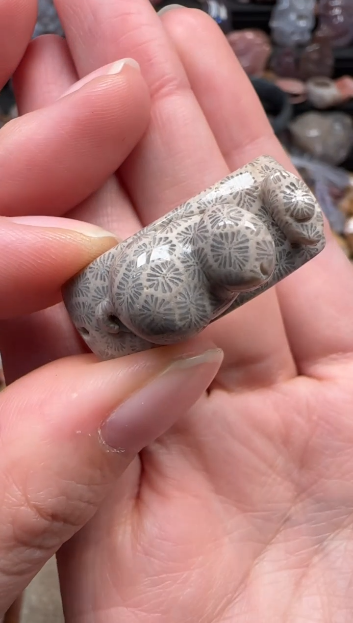 颈饰未镶嵌硅化珊瑚（珊瑚玉）882