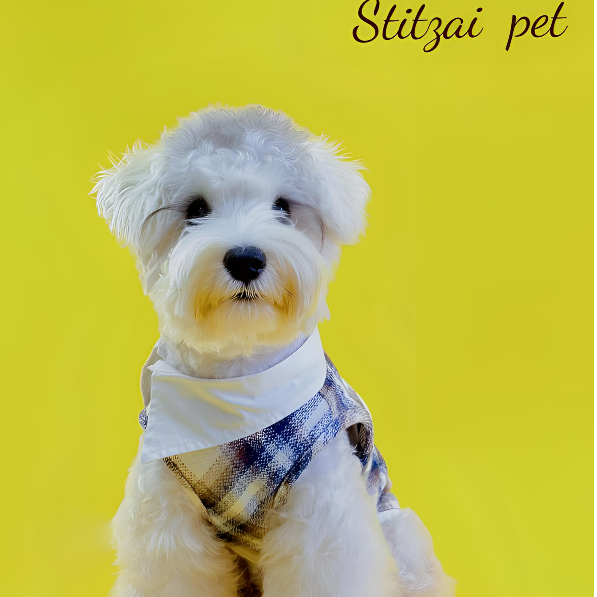 2025新款宠物蓝棕格翻领狗狗绅士小狗泰迪比熊卫衣服饰