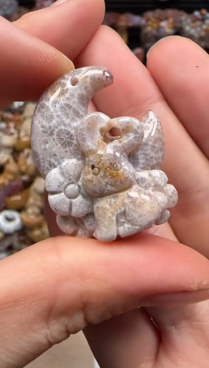 【闪购商品】硅化珊瑚（珊瑚玉）颈饰未镶嵌674