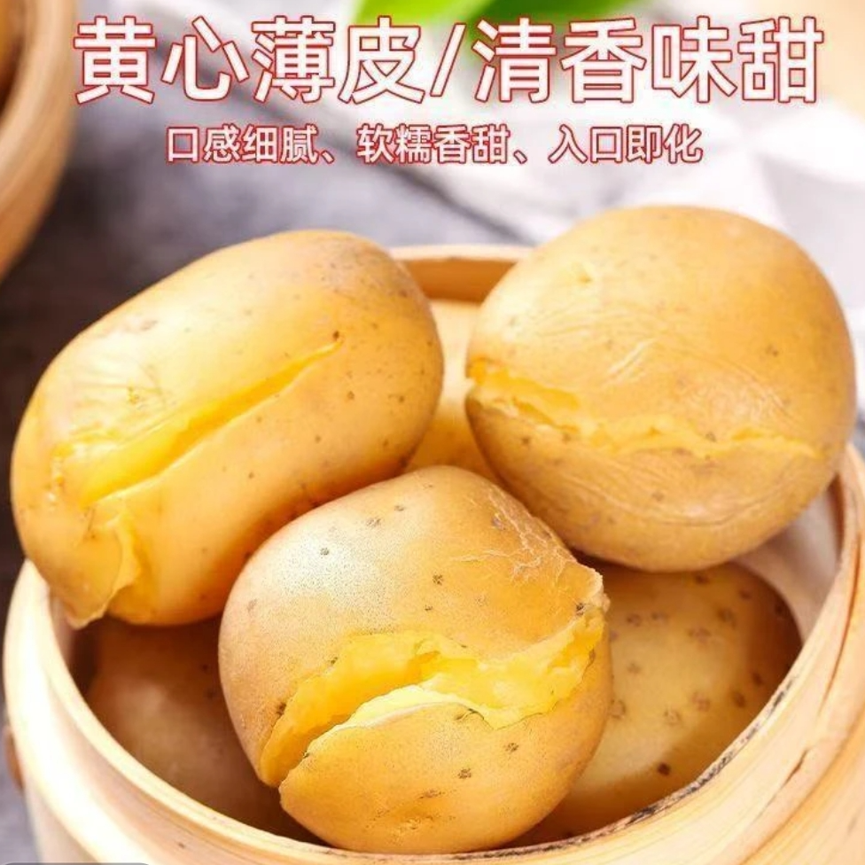正宗东北新土豆9-10斤装