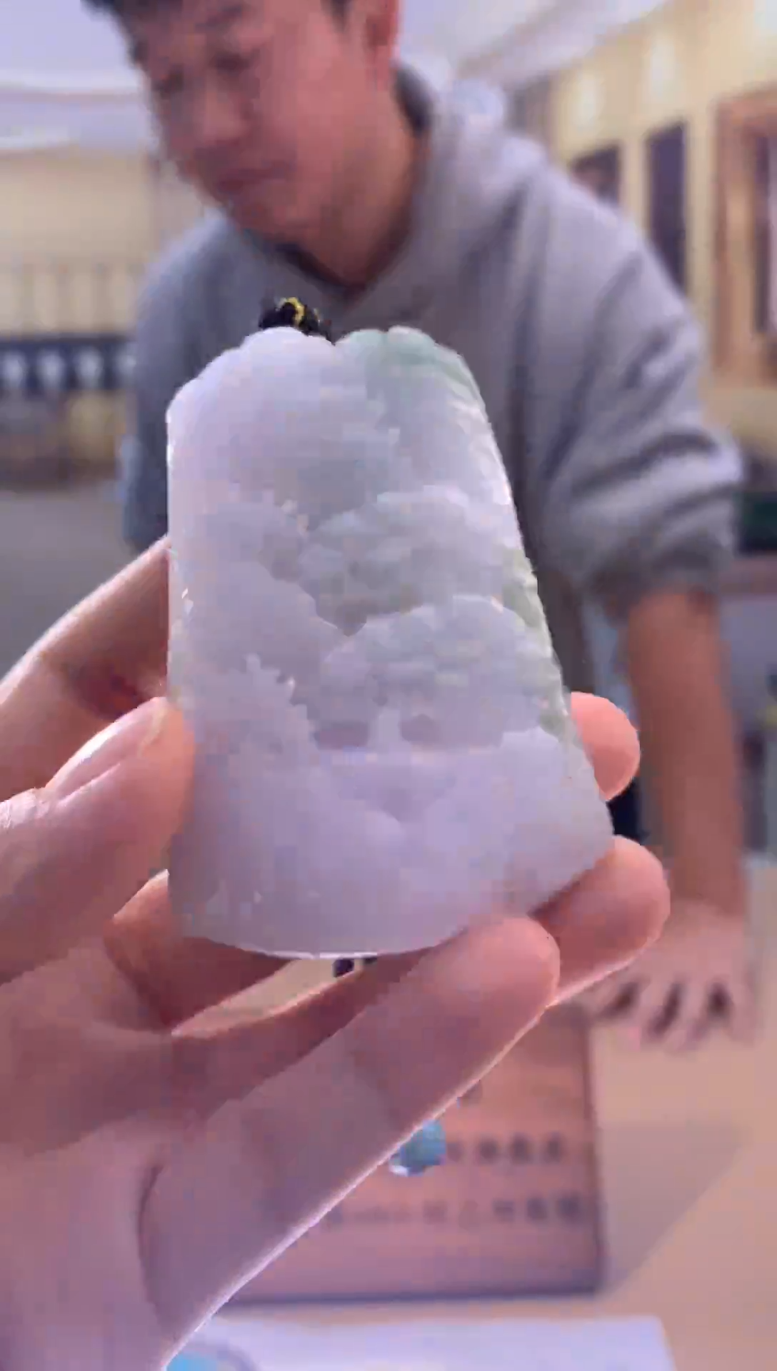 颈饰未镶嵌翡翠翡翠挂件 多样性发一件