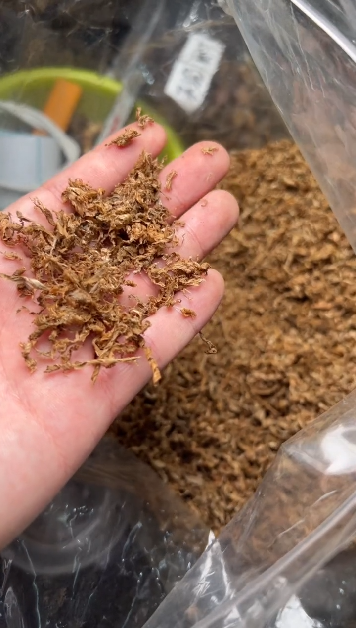 沉香沉香碎屑黄棋10克多样性发一份