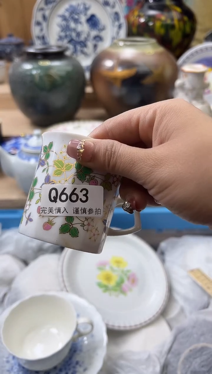 【闪购商品】瓷片663qqqqqqqqqqqq