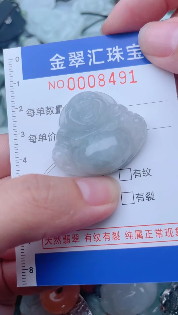 颈饰未镶嵌翡翠8491