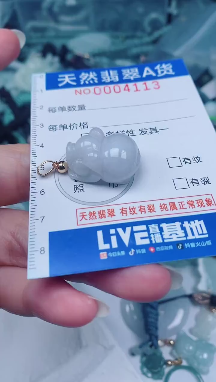 颈饰未镶嵌翡翠00004113