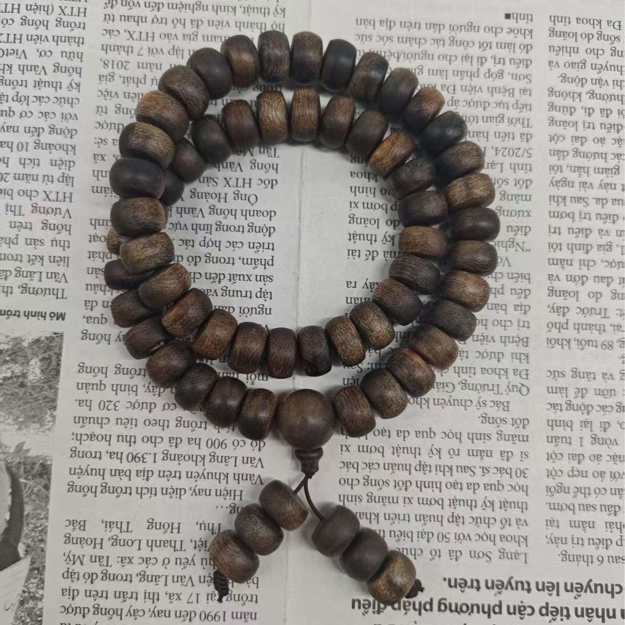 JXK-CXM06-K06兰奢待沉香单圈手串（多样性发货）