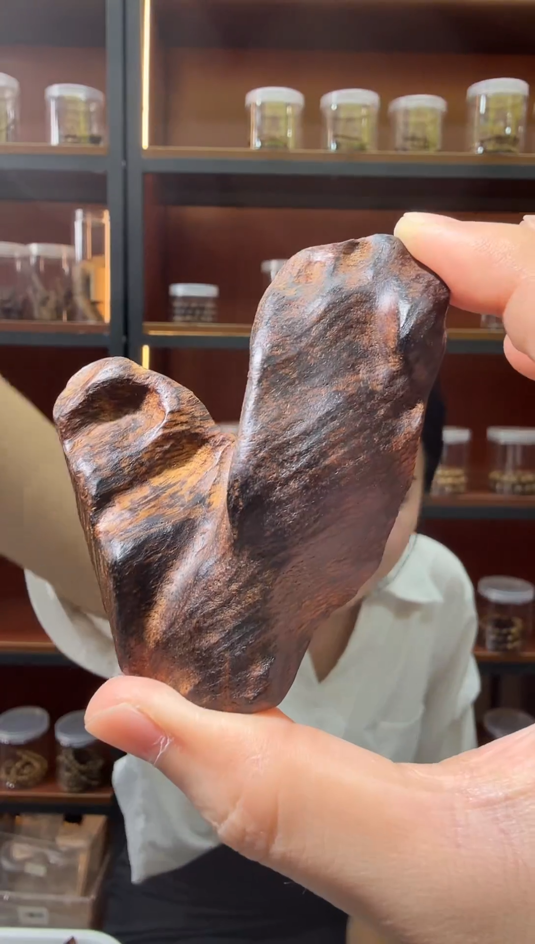 沉香吊坠13号菩萨棋红土小棋楠多样性发一