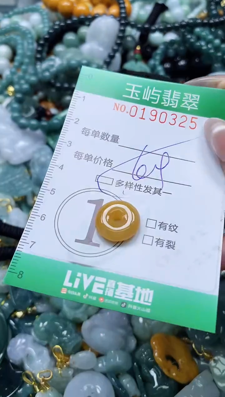 翡翠未镶嵌颈饰闪购0190325多样性发其一
