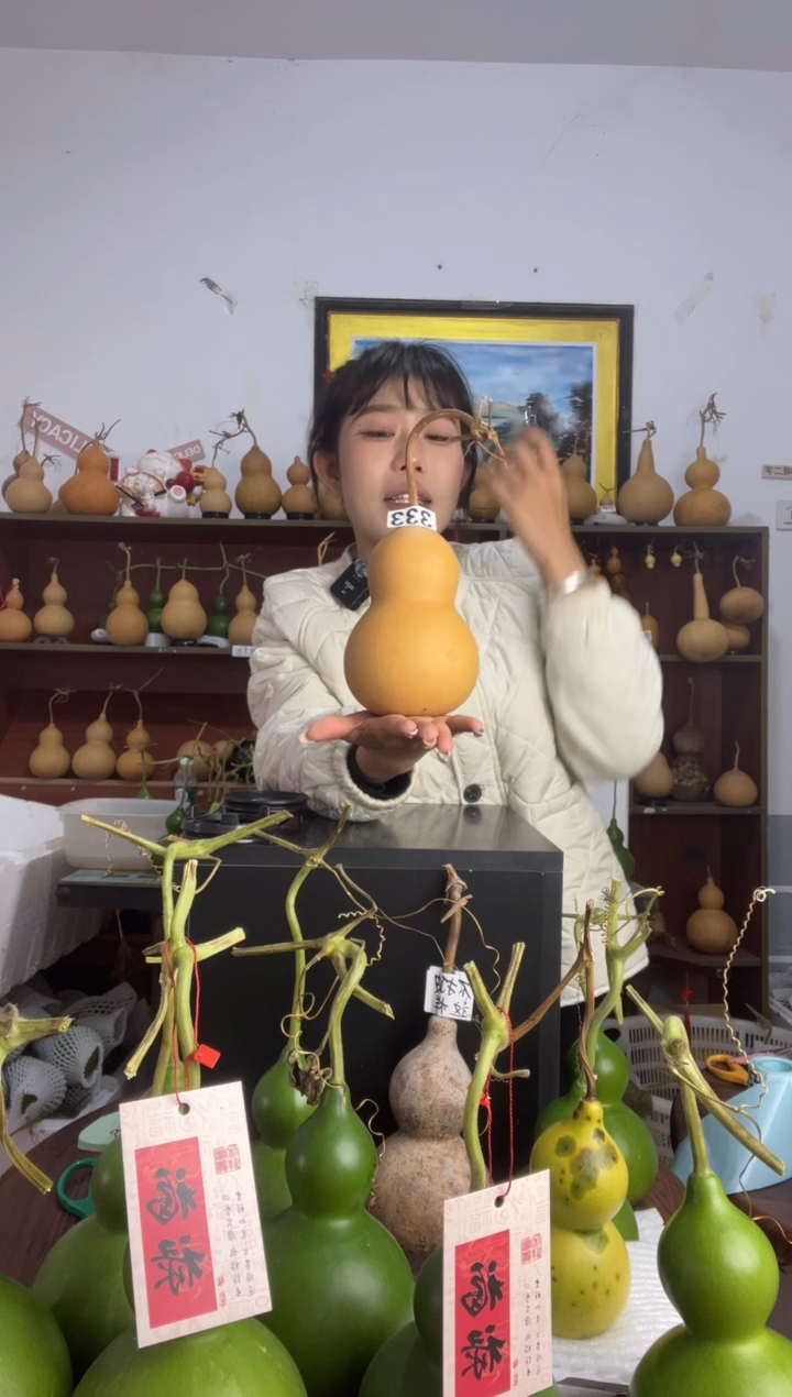 贝**?333天然葫芦摆件 一物一拍龙头不保售后带一个