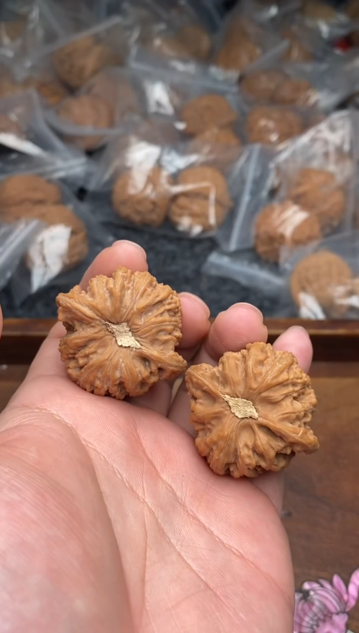 【闪购商品】文玩核桃把件G65号37尺密纹