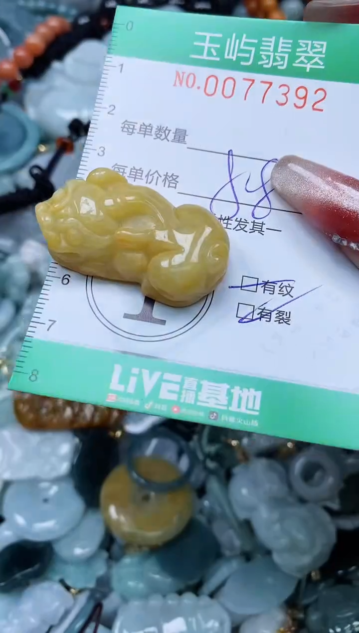 【闪购商品】翡翠颈饰未镶嵌闪购0077392