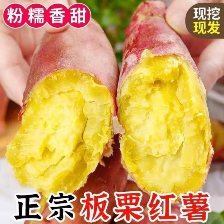 【3斤送2斤】陕西沙地粉糯板栗红薯番薯农家自种美味香甜地瓜