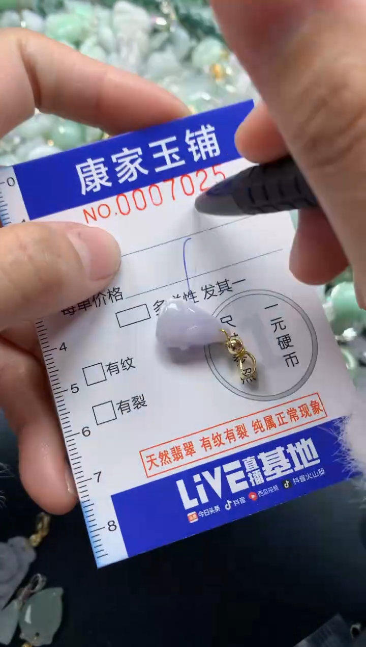 颈饰未镶嵌翡翠7025