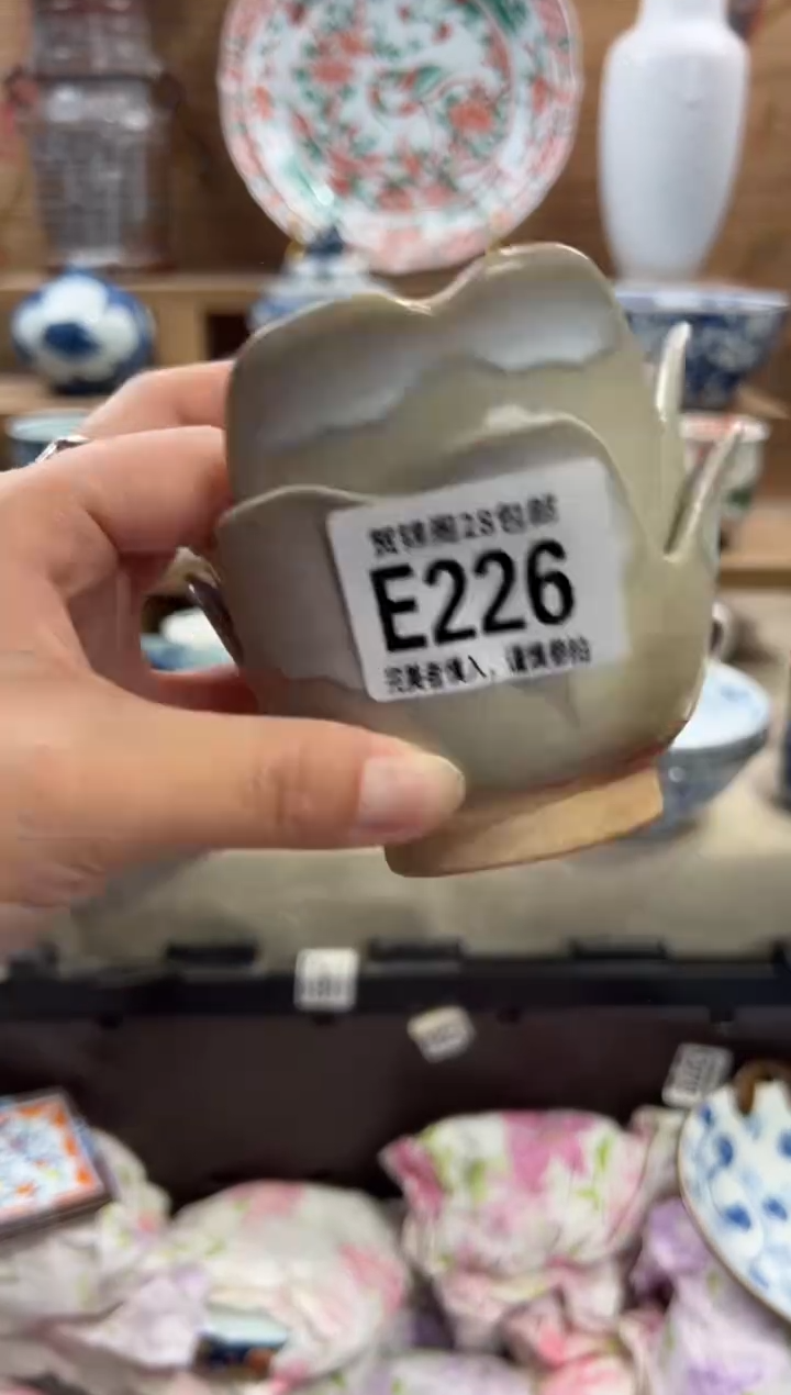 瓷片阿*木       E226