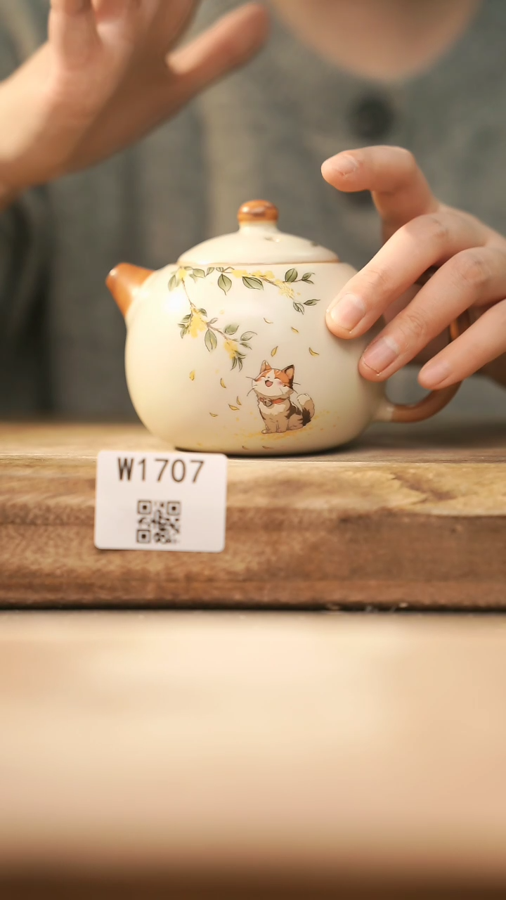 【闪购商品】【经典福利】/ 壶@@W1707