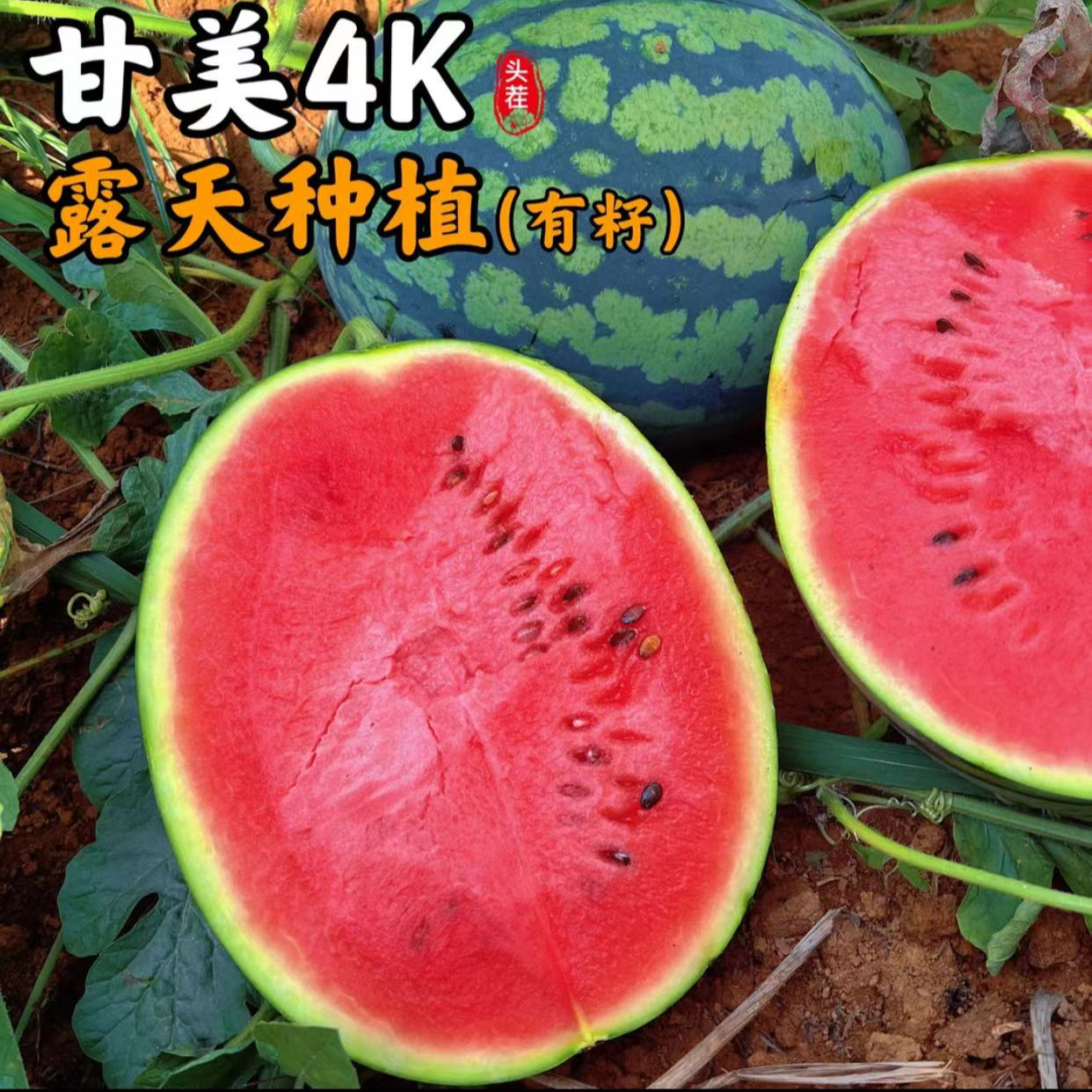 【冷藏后口感更佳】露天现摘甘美4K西瓜有籽新鲜西瓜当季皮薄脆甜4到16斤广西壮族自治区