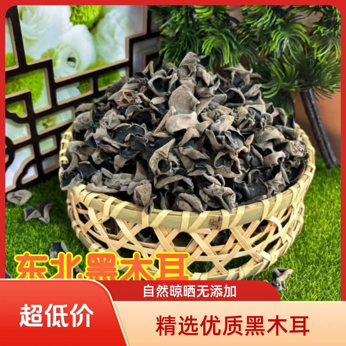 长白山秋木耳东北凉拌菜特产软糯Q弹无根厚木耳干木耳干货