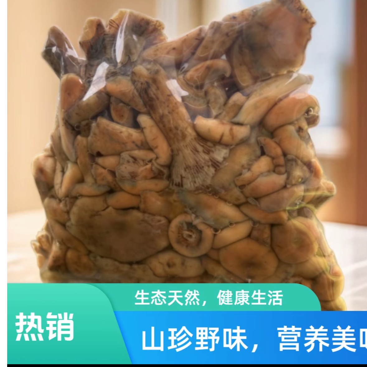 焯水发货  现收现发黄枞 菌谷熟菌九月香菌 美味山珍