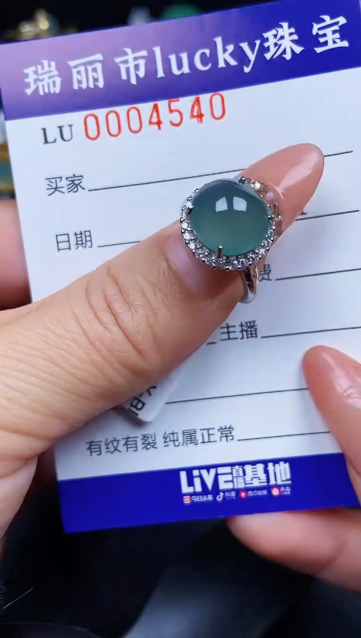 翡翠银S925镶嵌颈饰4540