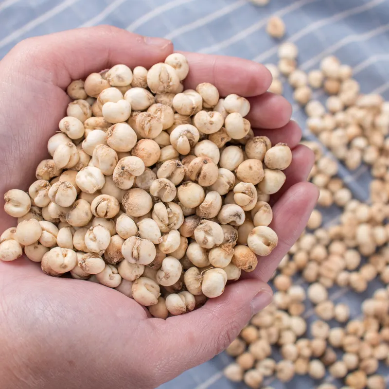 农家好物【6】山里土特产————————