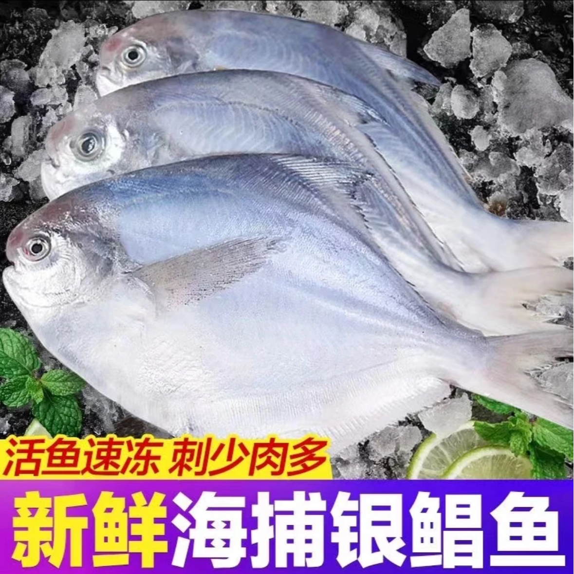 小号纯野生银鲳鱼 一斤7-8条 到手5斤 顺丰冷链车