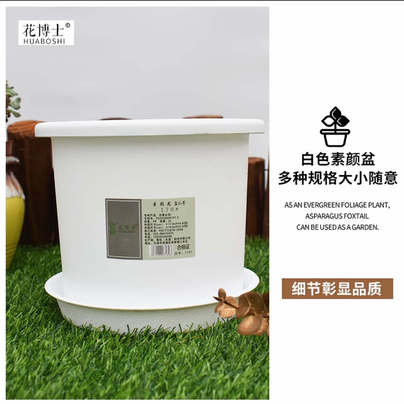 【热植馆】植物换盆链接 上柱链接 