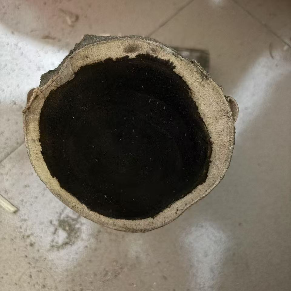 原木摆件 原木木段 桌面摆件 可摆件