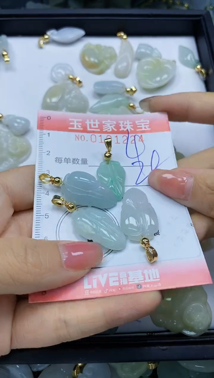 【闪购商品】翡翠颈饰未镶嵌闪购0191224