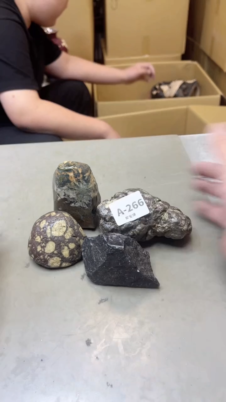 【闪购商品】瓷片266聚宝缘海淘精选