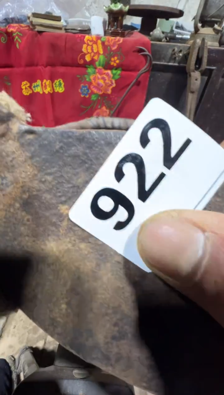 悟**提08180老王直播间专属链接