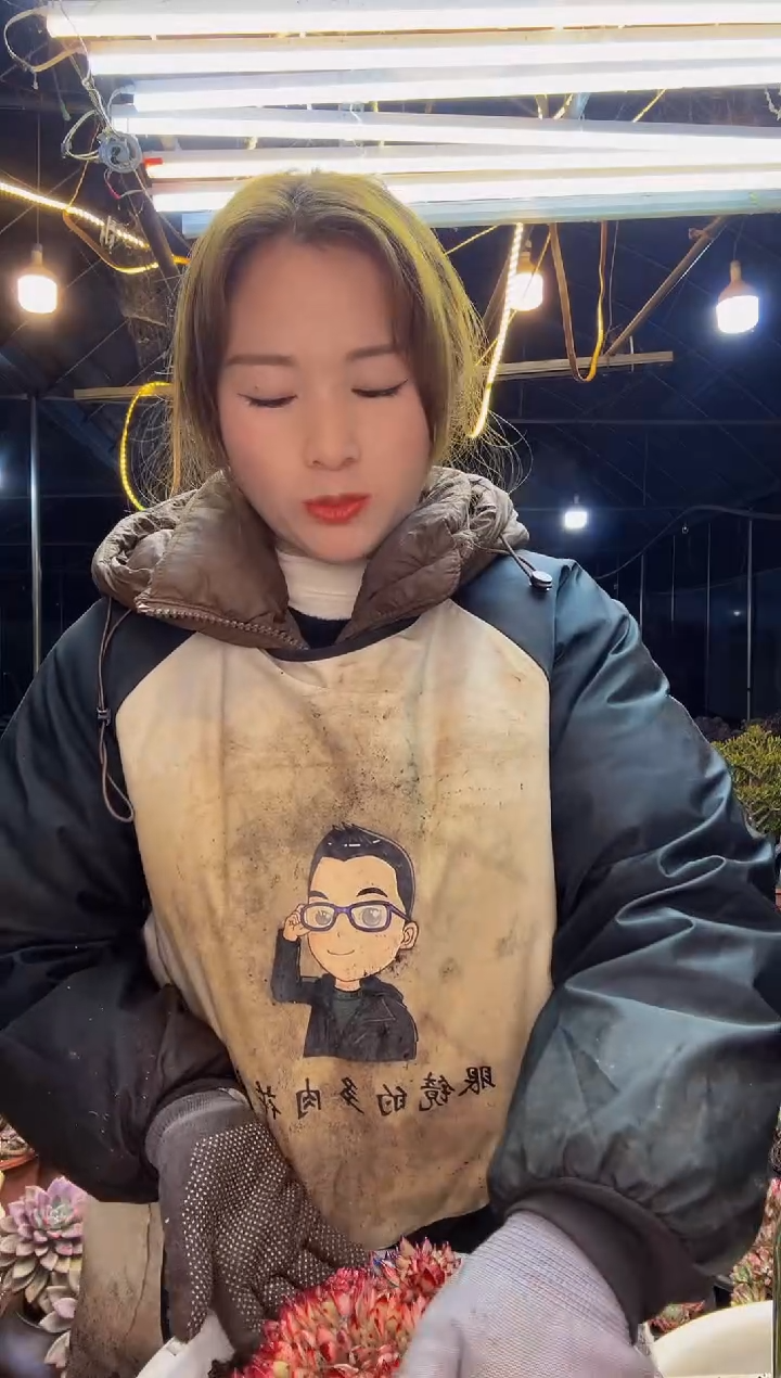 【闪购商品】29号一物一拍脱土包邮