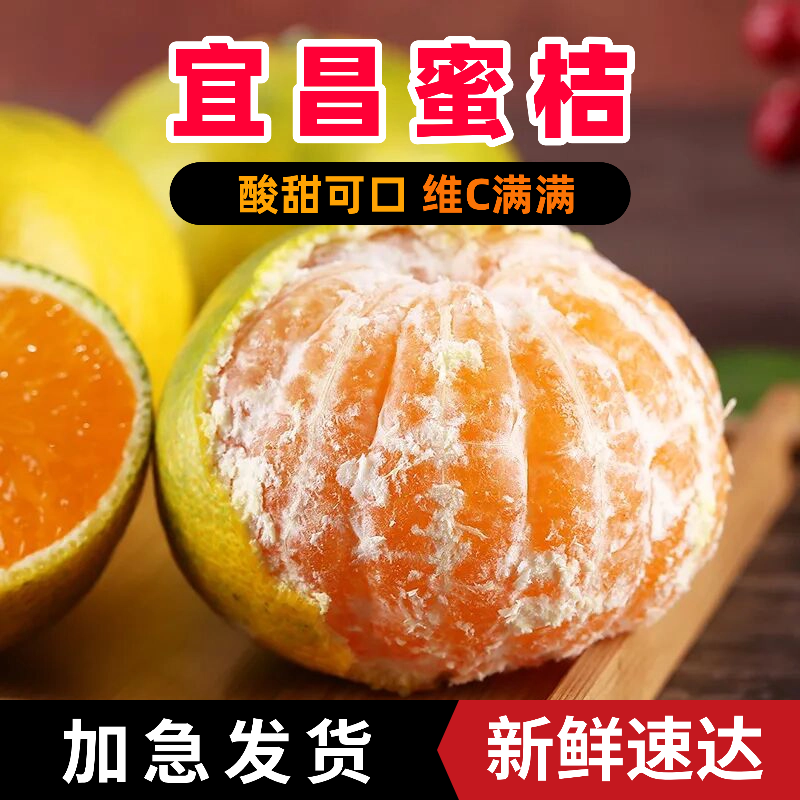 【顺手买一件】宜昌蜜桔 当季水果酸甜可口
