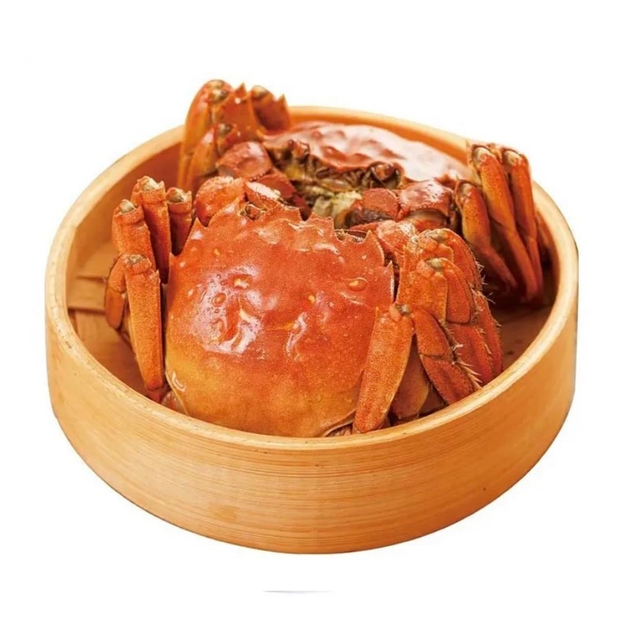 闸蟹公蟹单只4.0-4.2两左右2斤惨蟹