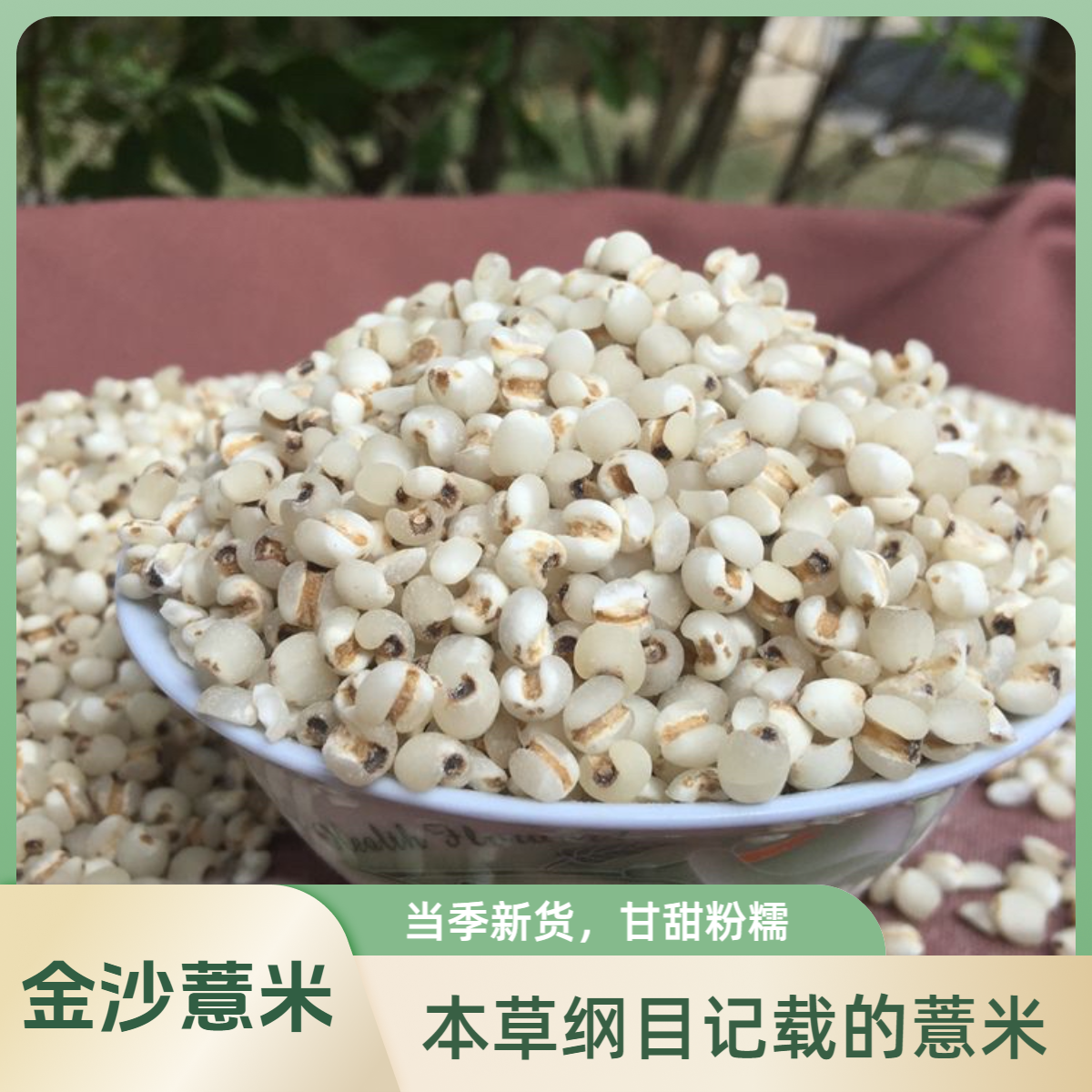 金沙薏米500克明清贡品半透明状甘蔗干