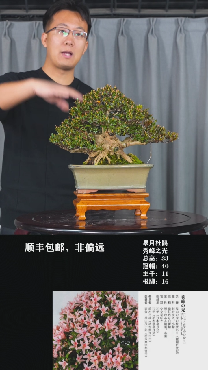 【闪购商品】-秀峰之光-T17