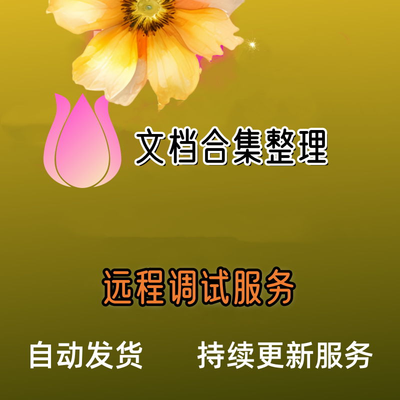办公文档整理 n远程调试服务