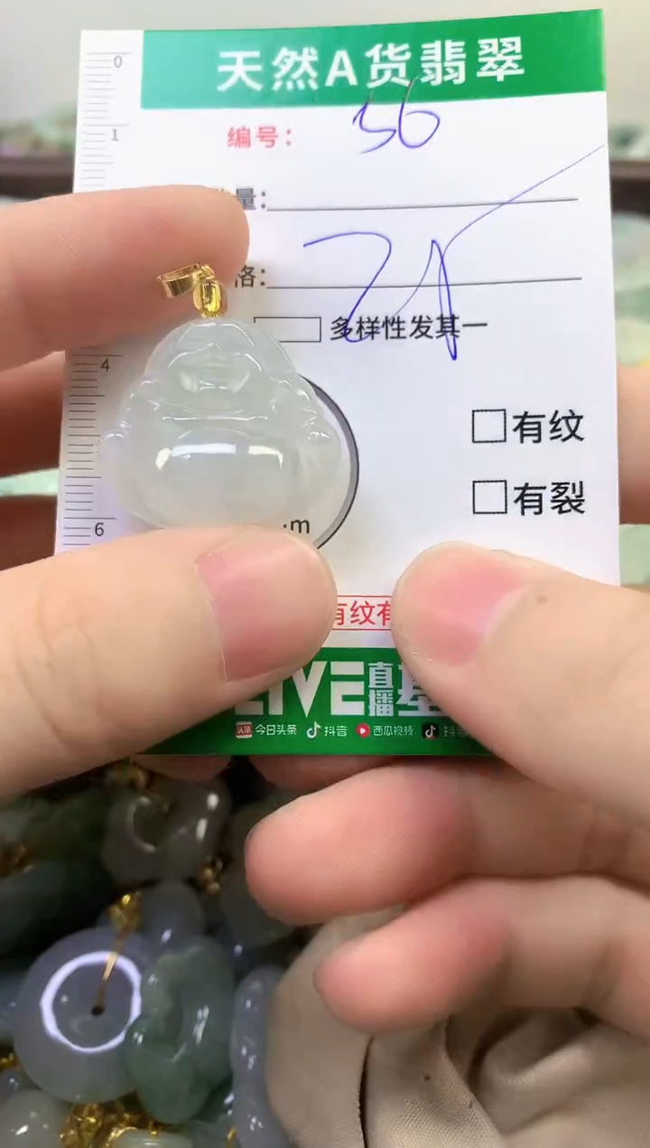 颈饰未镶嵌翡翠纯天然缅甸A货翡翠