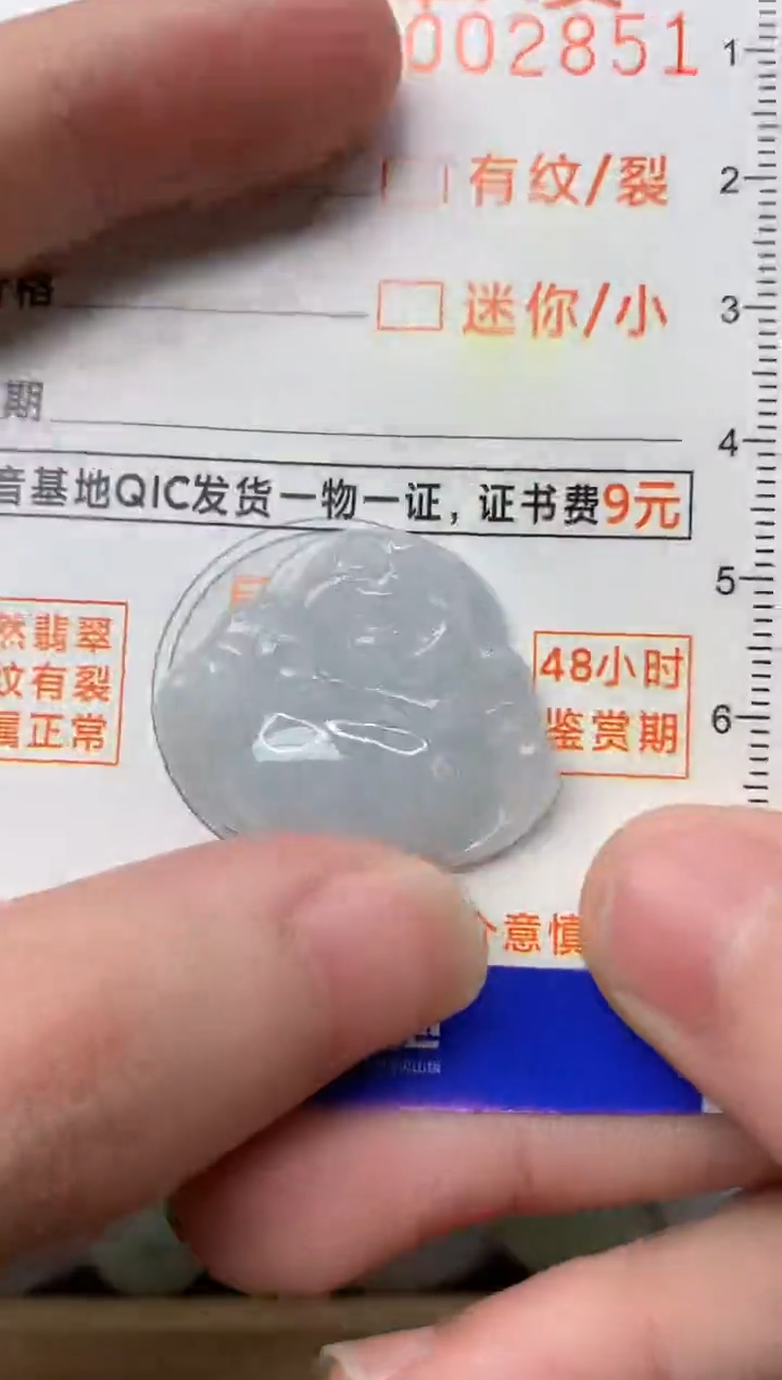 【闪购商品】翡翠颈饰未镶嵌1..........