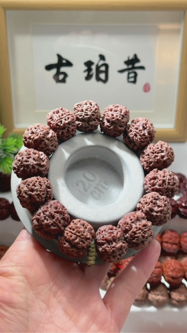 【闪购商品】金刚菩提手串【古珀昔•返璞】22.5mm规整(磕齿)