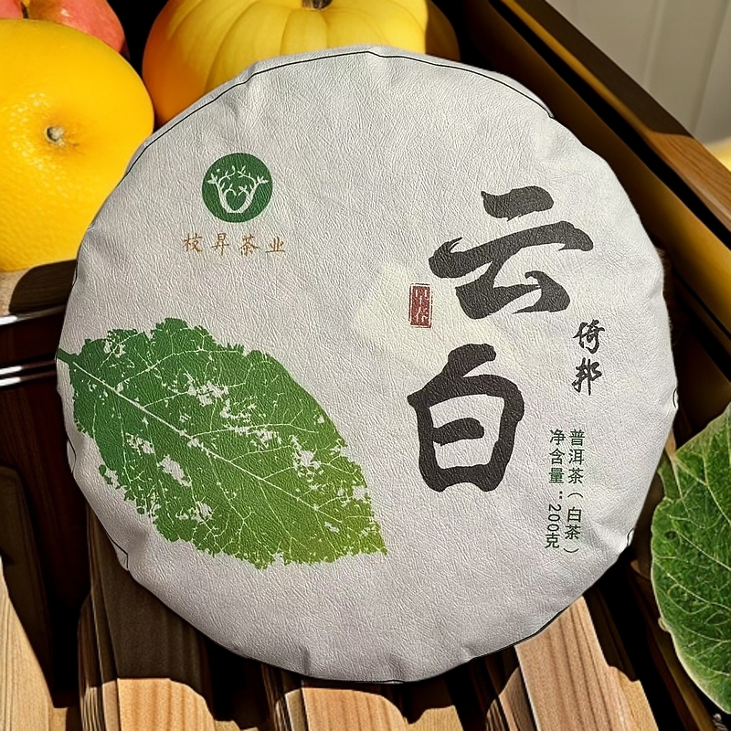 2025年 云白【倚邦头春白茶】