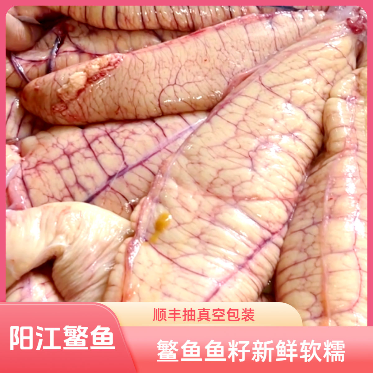 【礼盒】3斤鳘鱼鱼籽（鱼卵）真空包装新鲜鱼籽 中秋好物、新鲜炖煮