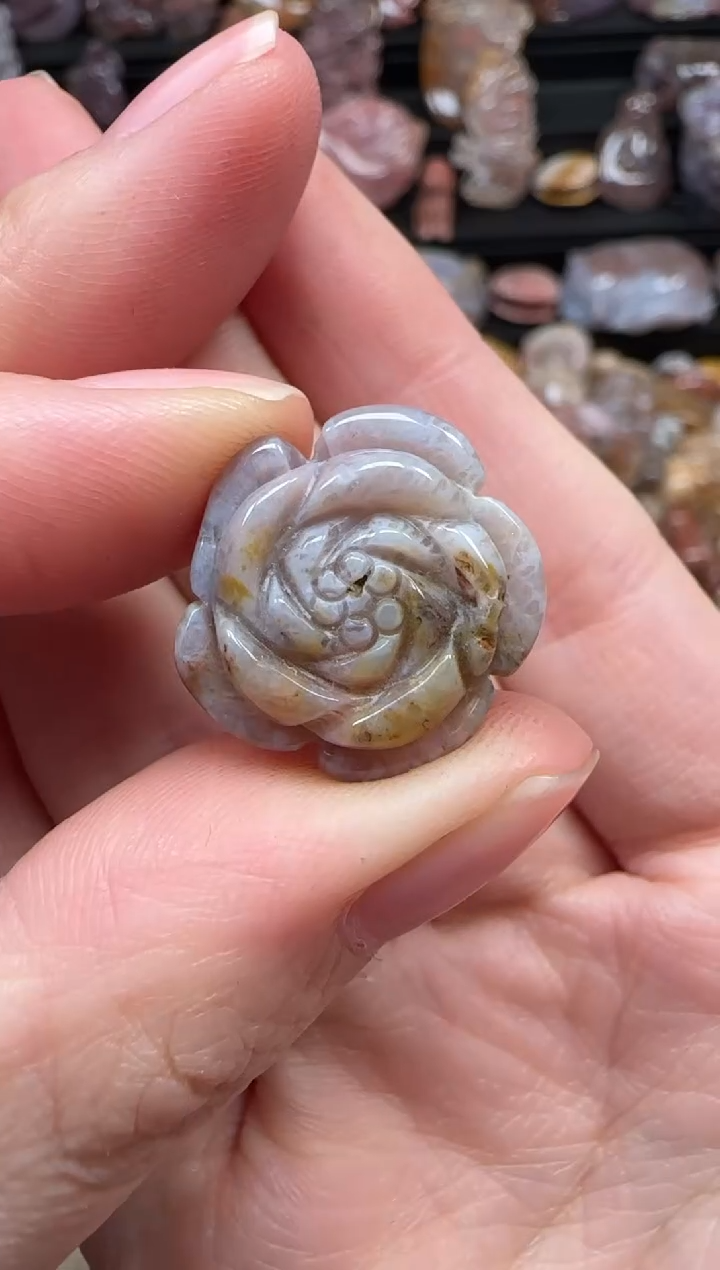 颈饰未镶嵌硅化珊瑚（珊瑚玉）298