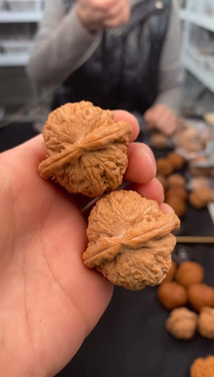 【闪购商品】文玩核桃把件白狮子37-t687