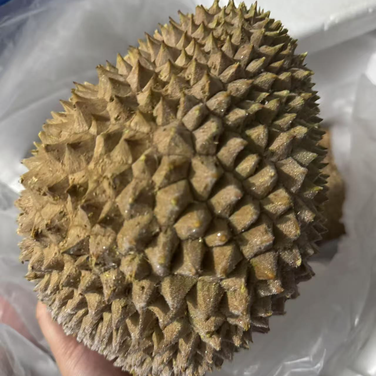 【2号称】马来西亚【竹脚榴莲】3-8斤液氮锁鲜a保4b保3【重量以直播间为准】核大榴莲同城l冷冻鲜榴莲竹脚马来西亚