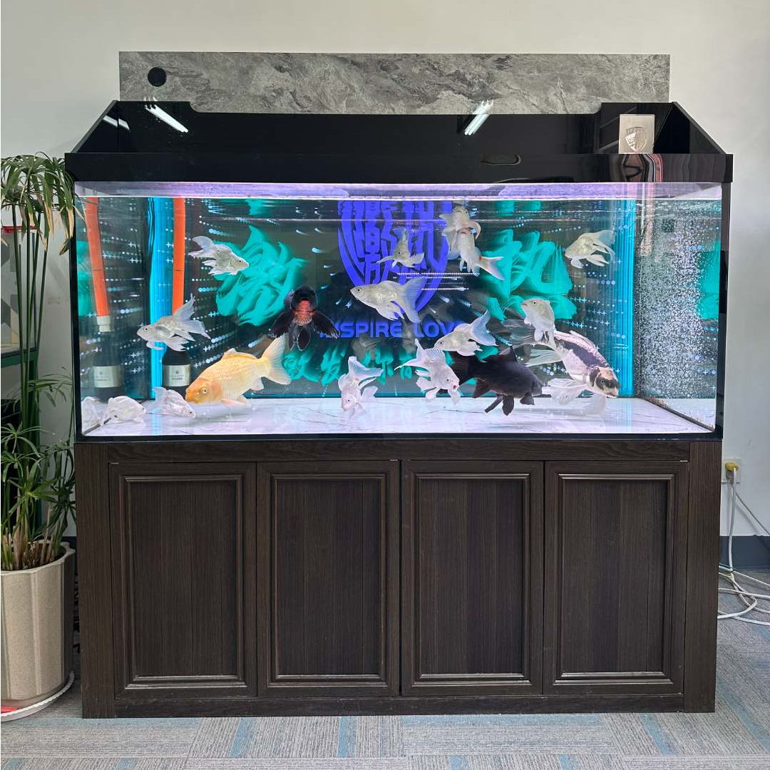 一体上滤瀑布出水超白鱼缸